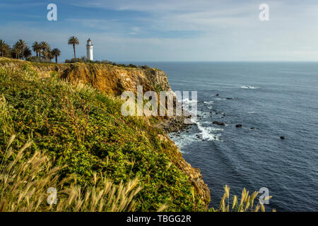 Point Vicente Leuchtturm auf der hohen Klippe mit schönen Wildblumen bedeckt während der Kalifornien Super Bloom von 2019, Rancho Palos Verdes, Califor Stockfoto