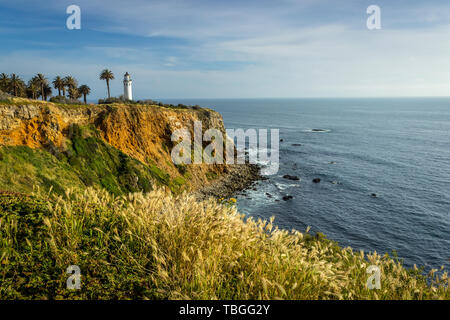 Point Vicente Leuchtturm auf der hohen Klippe mit schönen Wildblumen bedeckt während der Kalifornien Super Bloom von 2019, Rancho Palos Verdes, Califor Stockfoto