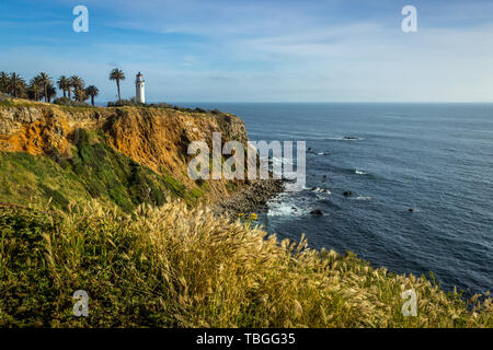 Point Vicente Leuchtturm auf der hohen Klippe mit schönen Wildblumen bedeckt während der Kalifornien Super Bloom von 2019, Rancho Palos Verdes, Califor Stockfoto