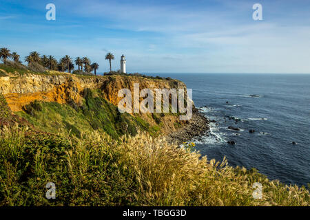 Point Vicente Leuchtturm auf der hohen Klippe mit schönen Wildblumen bedeckt während der Kalifornien Super Bloom von 2019, Rancho Palos Verdes, Califor Stockfoto