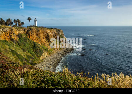 Point Vicente Leuchtturm auf der hohen Klippe mit schönen Wildblumen bedeckt während der Kalifornien Super Bloom von 2019, Rancho Palos Verdes, Califor Stockfoto