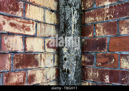 Alte Tube mit Moos in der Ecke auf einem Red brick wall Stockfoto
