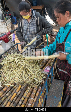 Laotische Frauen carving Zuckerrohr in der Nähe von Daoheuang Markt in Thakhek, Laos Stockfoto