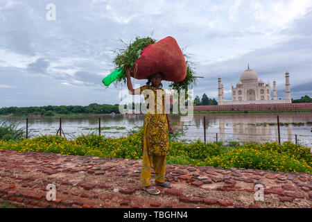 Junge indische Mädchen mit einem roten Sack mit geschnittenen Kräutern in Mehtab Bagh, Taj Mahal View Point, Agra, Uttar Pradesh, Indien Stockfoto