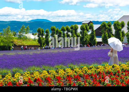 Touristen genießen die Weste violett Lavendelblüten Feld im Sommer sonnigen Tag am Bauernhof Tomita, Furano, Hokkaido, Japan Stockfoto