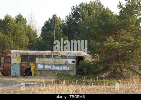 Old School Bus als Versteck Stockfoto