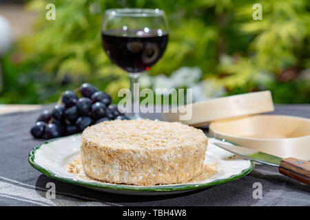 Französischer Käse Sammlung, Stück von fermentiertem Käse aus Kuhmilch Camembert au Calvados serviert mit Glas süßen roten Portwein in grün Garten Nahaufnahme Stockfoto