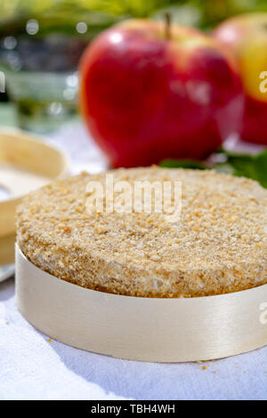 Französischer Käse Sammlung, Stück von fermentiertem Käse aus Kuhmilch Camembert au Calvados serviert mit Äpfeln außerhalb im grünen Garten in sonniger Tag Stockfoto