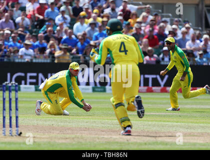 Australiens Steve Smith Fänge außerhalb Afghanistans Rahmat Shah während der ICC Cricket World Cup group Phase Match in Bristol County. Stockfoto