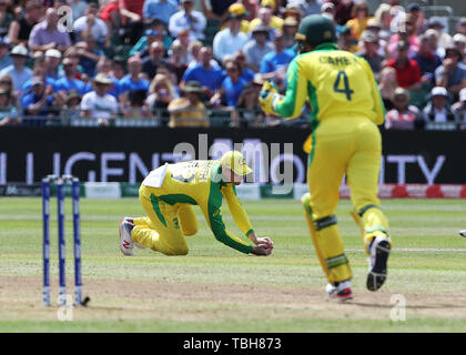 Australiens Steve Smith Fänge außerhalb Afghanistans Rahmat Shah während der ICC Cricket World Cup group Phase Match in Bristol County. Stockfoto