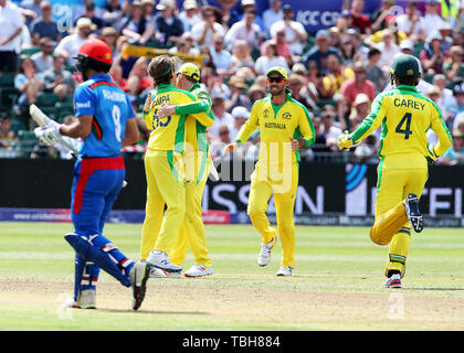 Der Australier Steve Smith trifft den afghanischen Rahmat Shah und feiert mit Adam Zampa während des ICC-Cricket-Weltcup-Gruppenbühnenkreises auf dem Bristol County Ground. Stockfoto