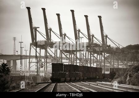 SEATTLE, WA-AUG 14: Crane Tower und Cargo Zug am Meer Port am 14. August 2015 in Seattle. Seattle ist die größte Stadt des Staates Washington, USA und den Pazifischen Nordwesten der Region Nordamerika Stockfoto