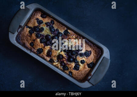 Hausgemachten Blueberry Brot Kuchen in Kuchenform auf einem dunklen Hintergrund Stockfoto