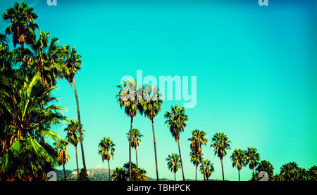 Palmen mit weltberühmten Hollywood Zeichen auf dem Hintergrund, Los Angeles. Southern California, USA Stockfoto