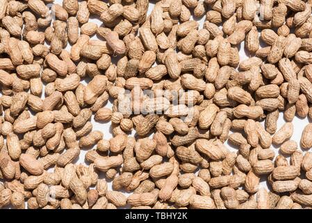 Erdnüsse trocknen in der Sonne in China Stockfoto