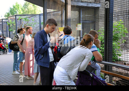 Moskau, Russland - 25. Mai 2019: Eine Masse von Menschen nehmen Sie Bilder und Videos aufnehmen von Mobiltelefonen und Tier Geräte im Zoo Stockfoto