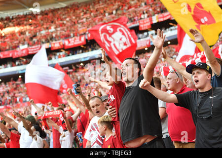 Madrid, Spanien. 01 Juni, 2019. Liverpool Fans, Fußball Fans, Jubel, Freude und Begeisterung. Fußball Champions League Finale 2019/Tottenham Hotspur-Liverpool FC 0-2, Saison 2018/19, am 01.06.2019, Stadion Wanda Metropolitano. | Verwendung der weltweiten Kredit: dpa/Alamy leben Nachrichten Stockfoto