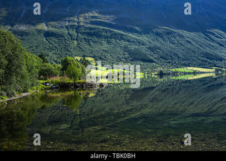 Fantastische Landschaft mit Bergen und Wäldern, die in Eidsvatnet See in der Nähe der Geirangerfjord, Sunnmore, Mehr og Romsdal, Norwegen Stockfoto