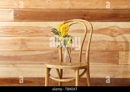 Stuhl mit mit schönen Mimosa Blumen in der Nähe von Holz- wand Stockfoto