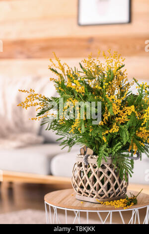 Vase mit Blumenstrauß von Mimosa Blumen auf dem Tisch im Zimmer Stockfoto