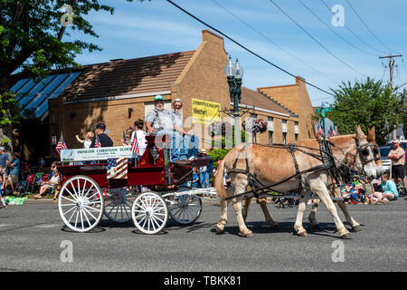 Ebenezer christliche Schule Schwimmer im 2019 Lynden Landwirte Day Parade. Lynden, Washington Stockfoto