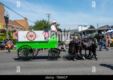 Laurel Hof & Western- Wagen im Jahr 2019 Lynden Landwirte Day Parade. Lynden, Washington Stockfoto