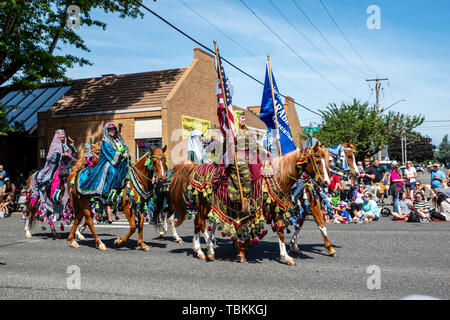 Reiterin des Nordwesten Washington Arabian Horse Association im März 2019 Lynden Landwirte Day Parade. Lynden, Washington Stockfoto