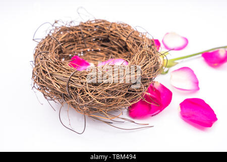 Die blütenblätter der Rose mit Nest Stockfoto