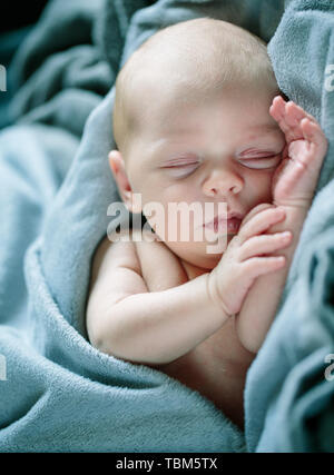 Porträt eines Neugeborenen 12 Tage altes Baby Boy Stockfoto