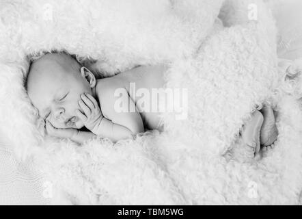 Porträt eines Neugeborenen 12 Tage altes Baby Boy Stockfoto