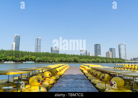 City Park, See Landschaft Stockfoto