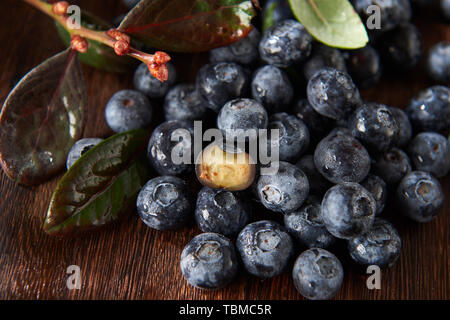 Noch fotografische Bilder von Kirschen und Heidelbeeren Stockfoto