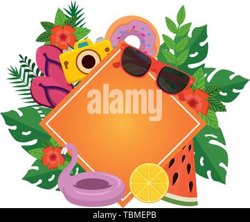 Sommer Rahmen mit Blätter Pflanzen und Symbole Stock Vektor