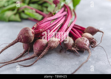 Gruppe von Mangold mit roter Bete. Junge rote Beete mit frischen Blätter. Stockfoto