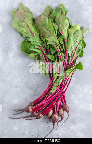 Gruppe von Mangold mit roter Bete. Junge rote Beete mit frischen Blätter. Stockfoto