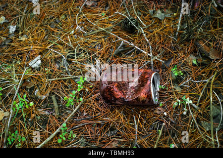 Alten rostigen Getränkedose im Gras Stockfoto