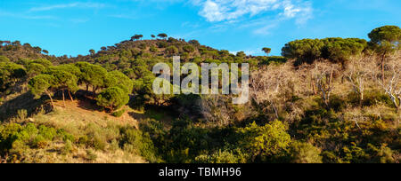 Panoramablick über die Montes de Malaga, Andalusien, Spanien Stockfoto