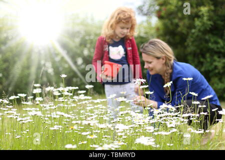 Eine Blume Wiese vor eine Mutter mit Tochter erben Stockfoto