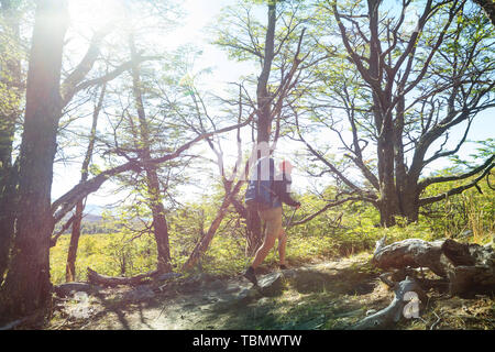 Wandern Mann in den Wald Stockfoto