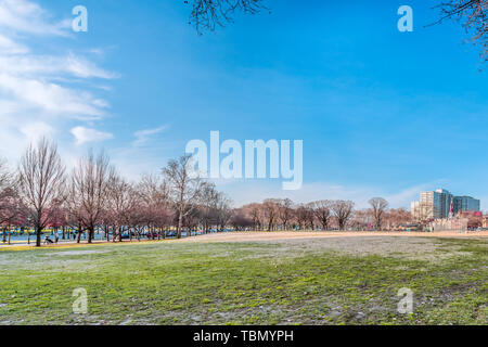 Philadelphia, Pennsylvania, USA - Dezember, 2018 - Schöne Feld Ansicht in einem blauen Himmel Tag von Benjamin Franklin Parkway in Downtown Philadelphia. Stockfoto