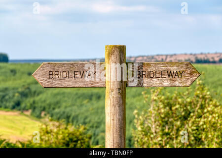 Eine hölzerne Reitweg Zeichen in der North York Moors National Park. Stockfoto