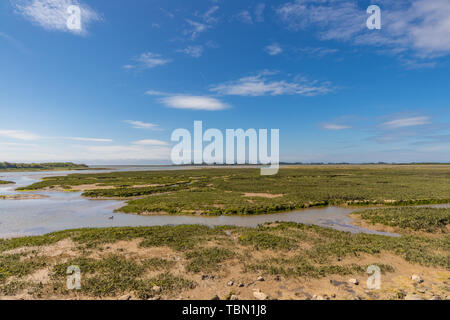 Pagham Hafen bei Ebbe, West Sussex, Großbritannien Stockfoto