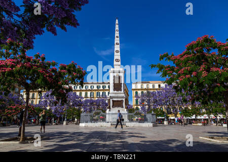 Plaza de la Merced in Málaga Stockfoto