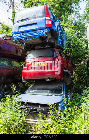 Ein Stapel von 3 Autos teilweise in einem Leistungsschalter Schrottplatz mit Unkraut und Vegetation wächst um sie demontiert Stockfoto