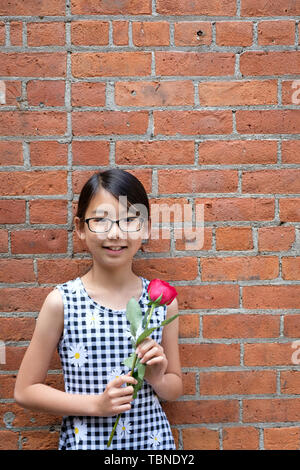 Portrait von jungen asiatischen Mädchen mit roten Rose Blume gegen Red brick wall Stockfoto