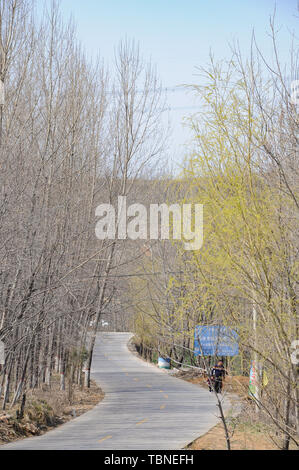 Henan Xinmijianshan Aprikose Blume Festival Stockfoto