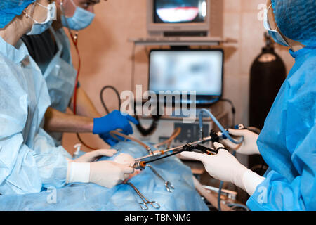 Berufsbildung, die für die Sterilisation. Die Katze auf dem OP-Tisch in einer Tierklinik. Katze in einem Tierarztes, der Gebärmutter und der Eierstöcke Stockfoto