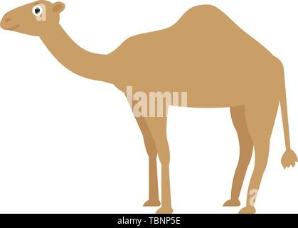 Kamel Symbol in Flat, Afrikanische Tier Vector Illustration Stock Vektor