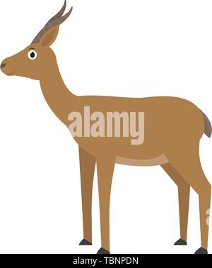 Dorcas Gazelle Symbol in Flat, Afrikanische Tier Vector Illustration Stock Vektor