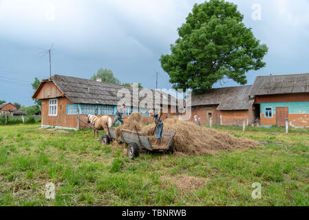 Litynia Dorf, Ukraine - Juni 02, 2018: Zwei junge Jungen Heu werfen aus der Karre, Lagerung von Heu für die Tiere. Das Leben in einem Dorf. Stockfoto